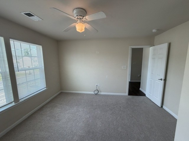 Gallery Photo 20